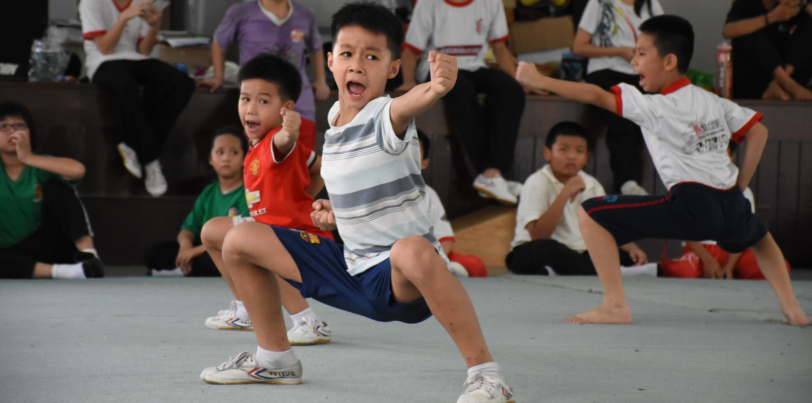 Ding Feng Wushu Classes